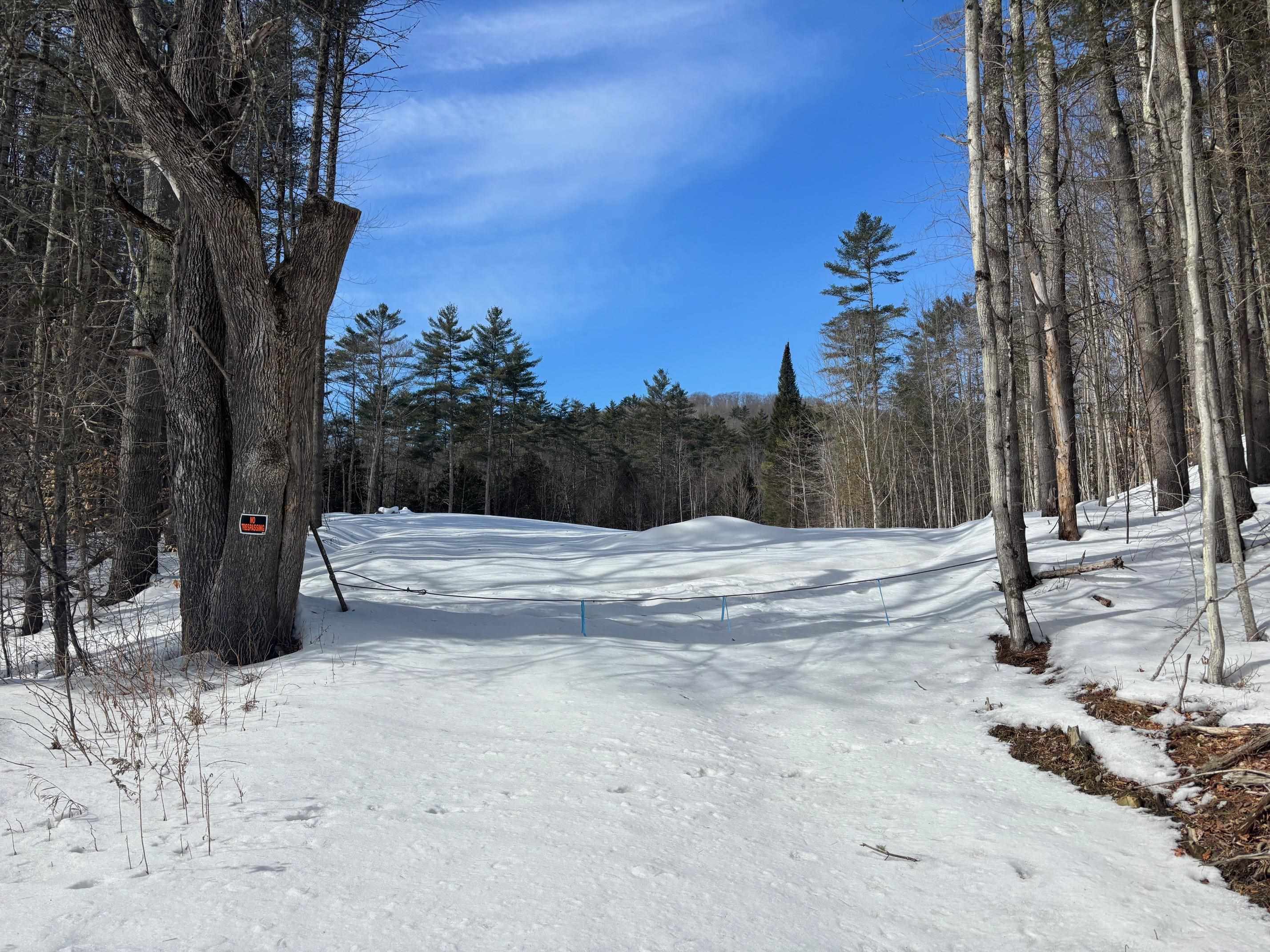 0 Lower Waterford Road Waterford, VT 05819 - Photo 2 of 21