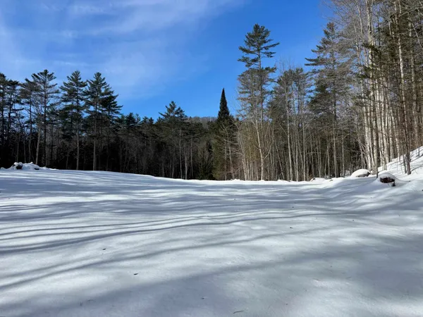 $169,000 | 0 Lower Waterford Road, Waterford, VT 05819