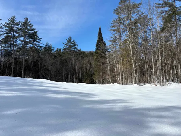 $169,000 | 0 Lower Waterford Road, Waterford, VT 05819