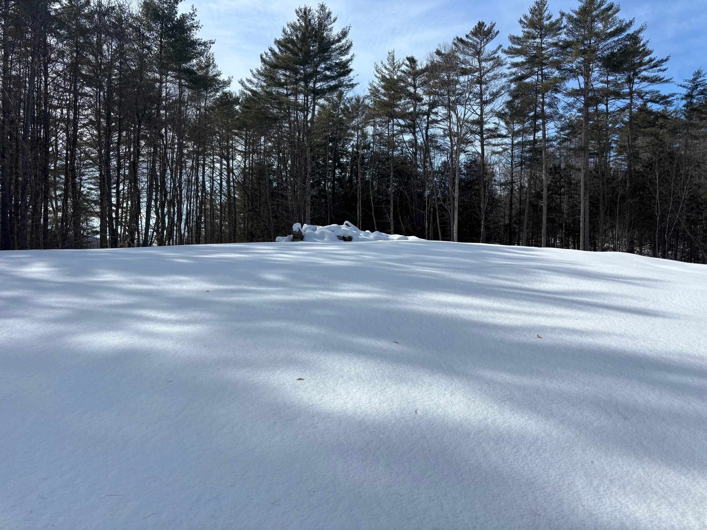 0 Lower Waterford Road Waterford, VT 05819 - Photo 10 of 21