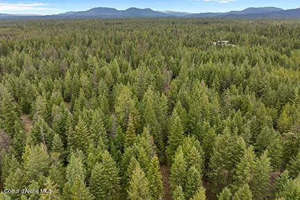 $450,000 | 2n North Lewellen Creek Road, Athol, ID 83801