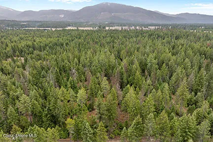 $450,000 | 2n North Lewellen Creek Road, Athol, ID 83801