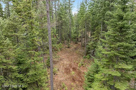 $450,000 | 2n North Lewellen Creek Road, Athol, ID 83801