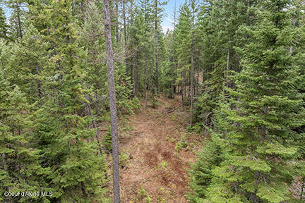 2n North Lewellen Creek Road Athol, ID 83801 - Photo 6 of 16 Aerial_NLewellenCreekLn_North10-4_resize