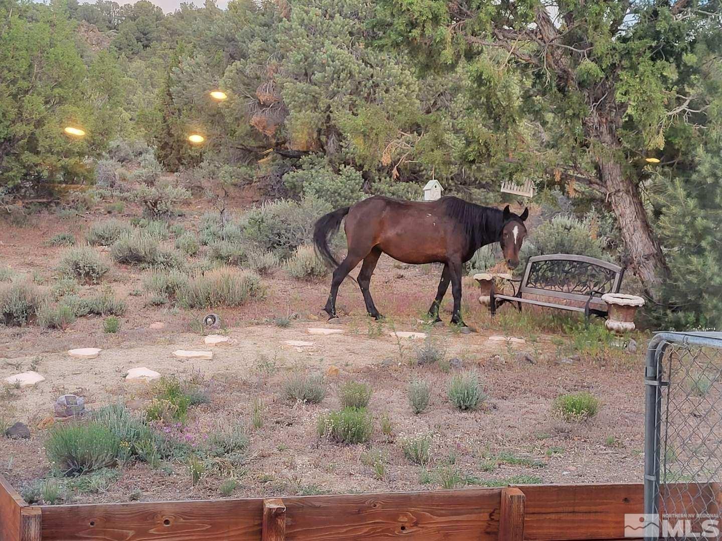 2291 Lousetown Road Reno, NV 89521 - Photo 38 of 40 a view of yard