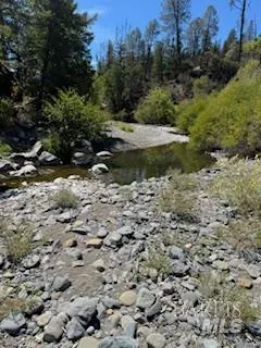 a view of a lake with a forest