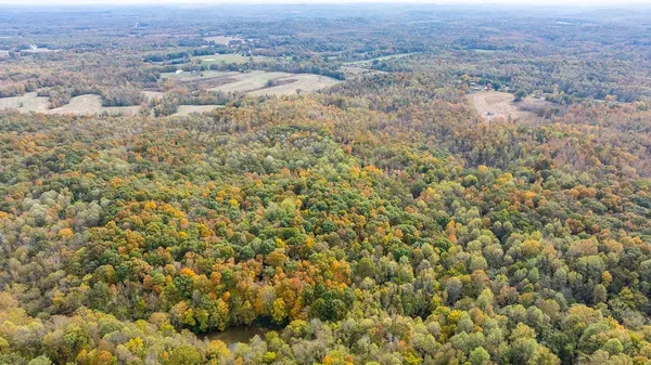 a view of city and mountain