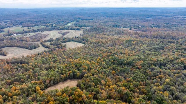 a view of a field with an ocean
