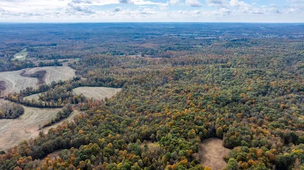 a view of a dry yard with wooden fence