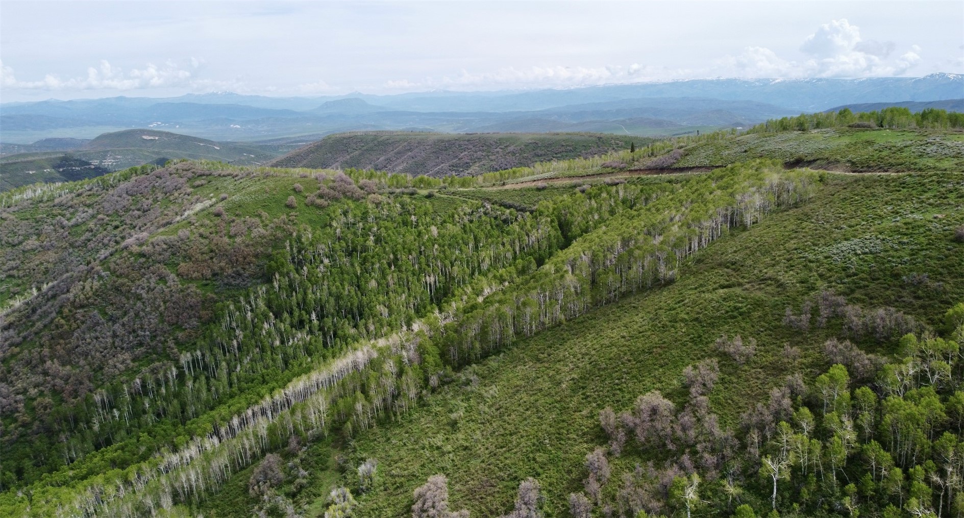 Tbd Silverado Road Oak Creek, CO 80467 - Photo 11 of 12