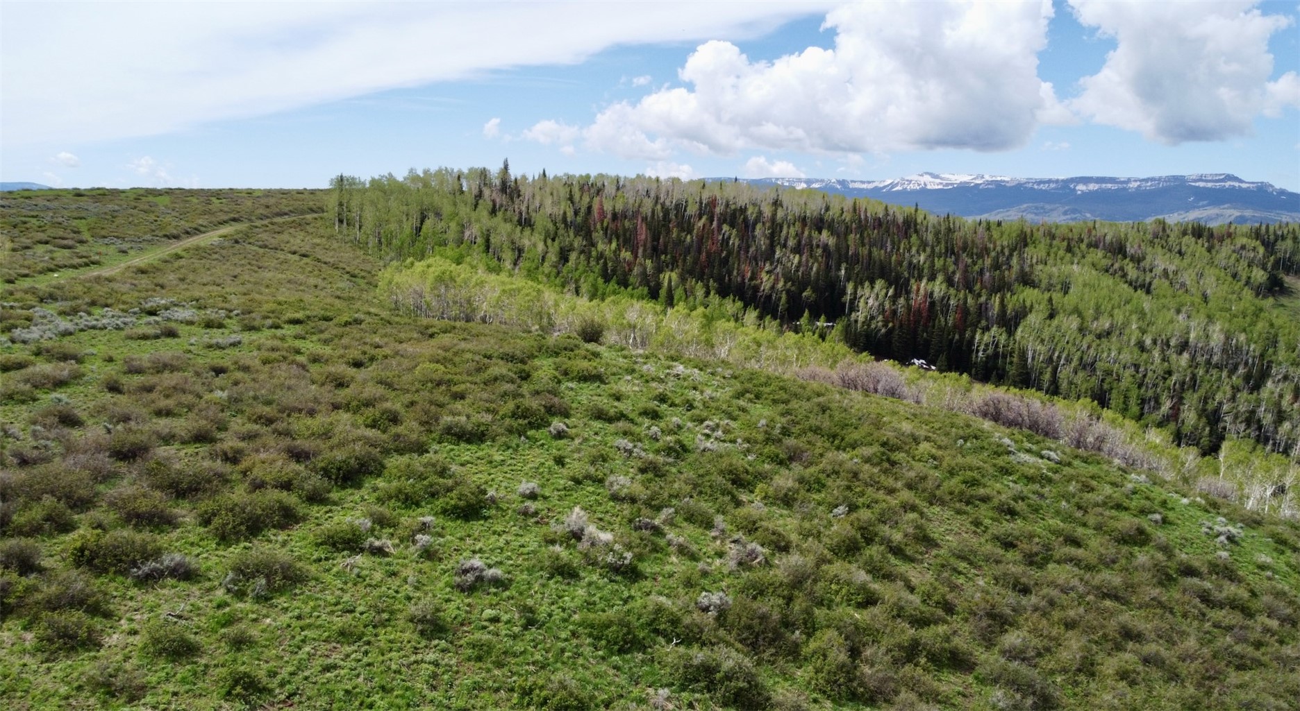 Tbd Silverado Road Oak Creek, CO 80467 - Photo 3 of 12