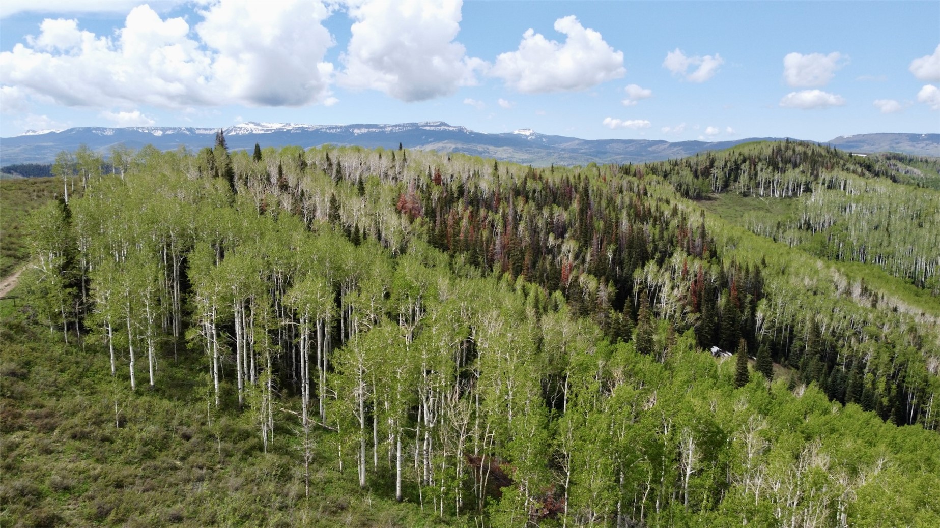 Tbd Silverado Road Oak Creek, CO 80467 - Photo 6 of 12