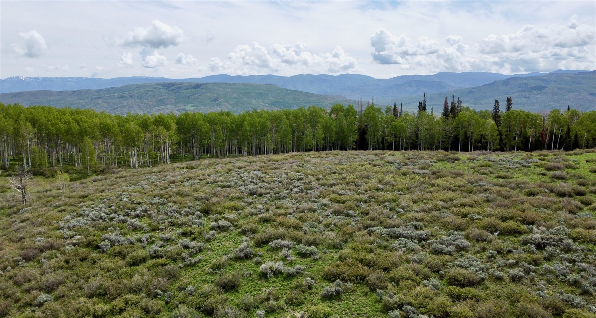 Tbd Silverado Road Oak Creek, CO 80467 - Photo 8 of 12