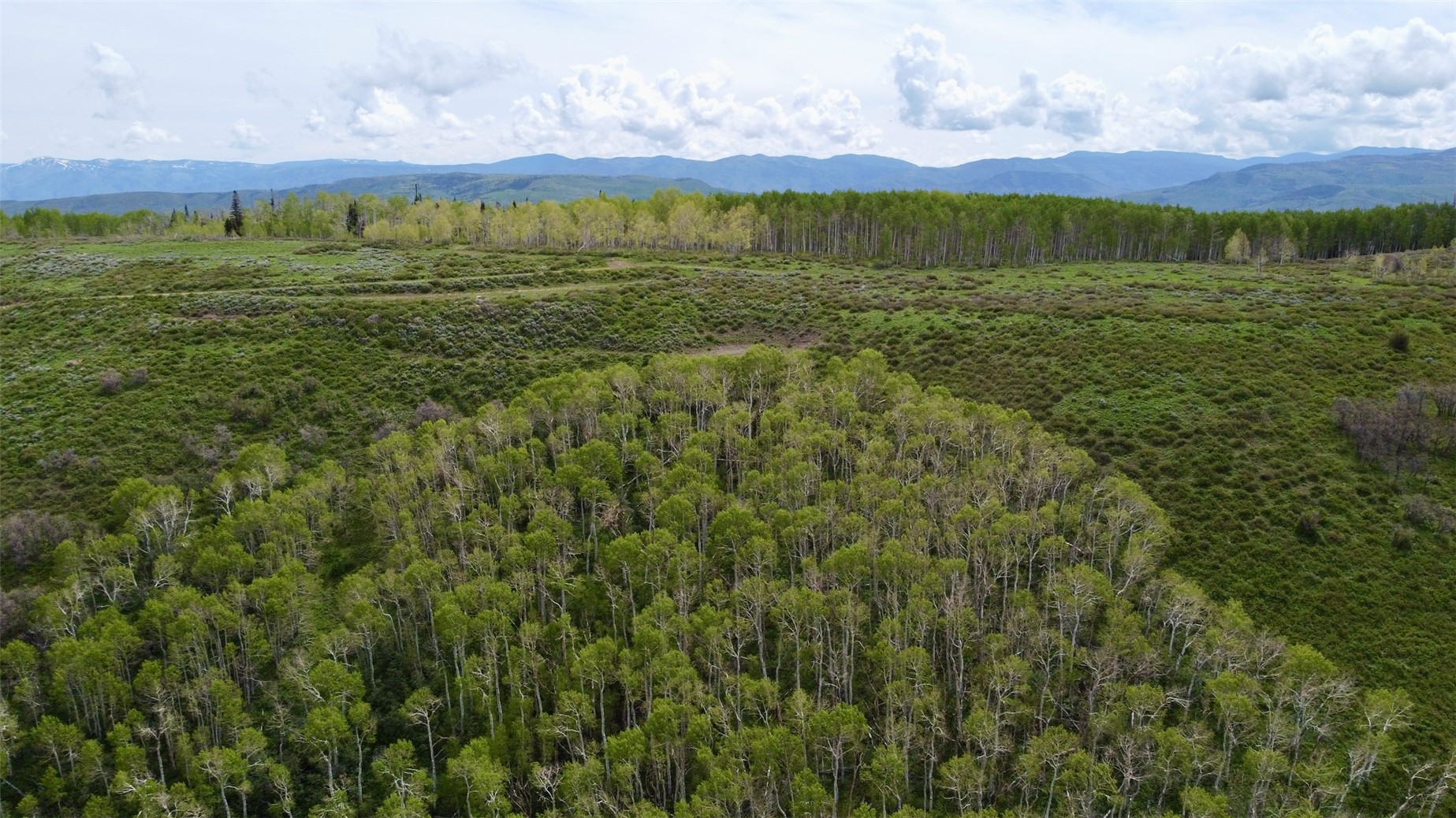 Tbd Silverado Road Oak Creek, CO 80467 - Photo 10 of 12