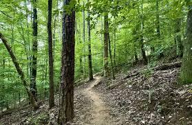 800 Reads Lake Road, Unit 305 Chattanooga, TN 37415 - Photo 37 of 37 Waldens Ridge Park