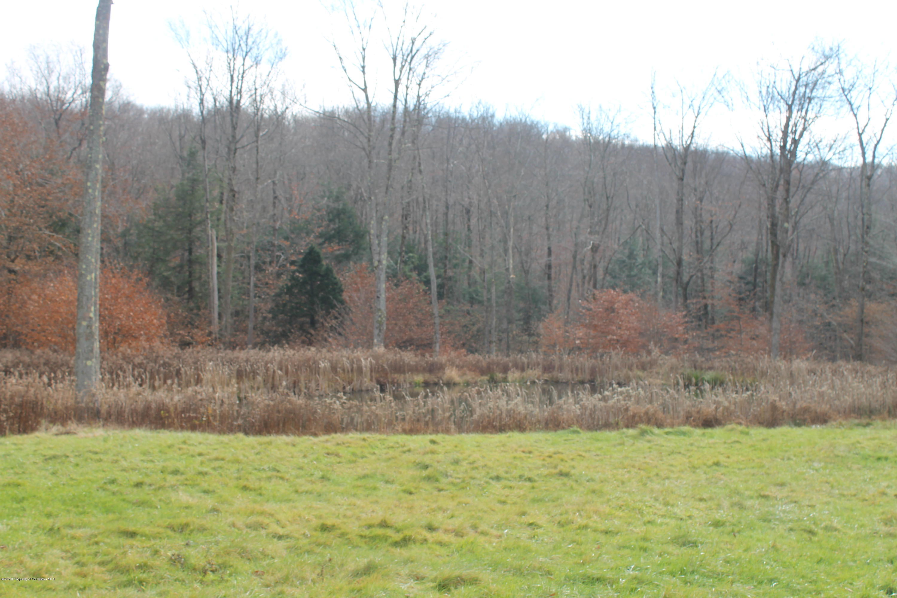 870 Ravnikar Road Browndale, PA 18421 - Photo 4 of 21 Gallery Image 4