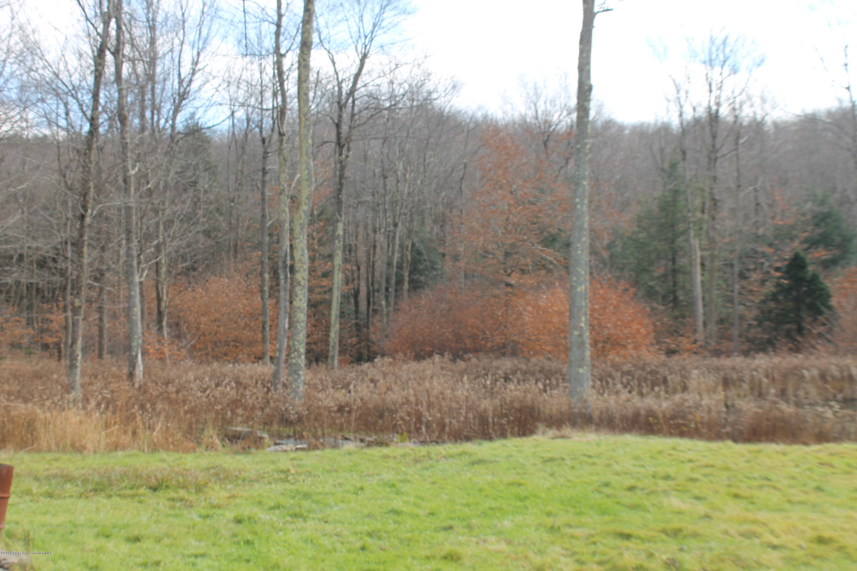 870 Ravnikar Road Browndale, PA 18421 - Photo 5 of 21 Gallery Image 5
