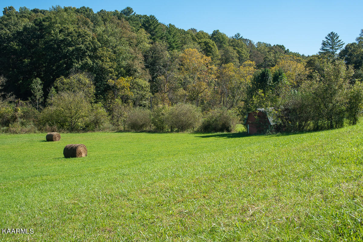 3014 Swafford Road Knoxville, TN 37932 - Photo 6 of 33 JBP_Swafford3014_Web-4