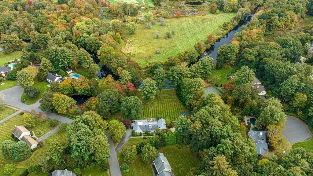 84 Wildwood Drive Needham, MA 02492 - Photo 34 of 36 a view of a garden with plants