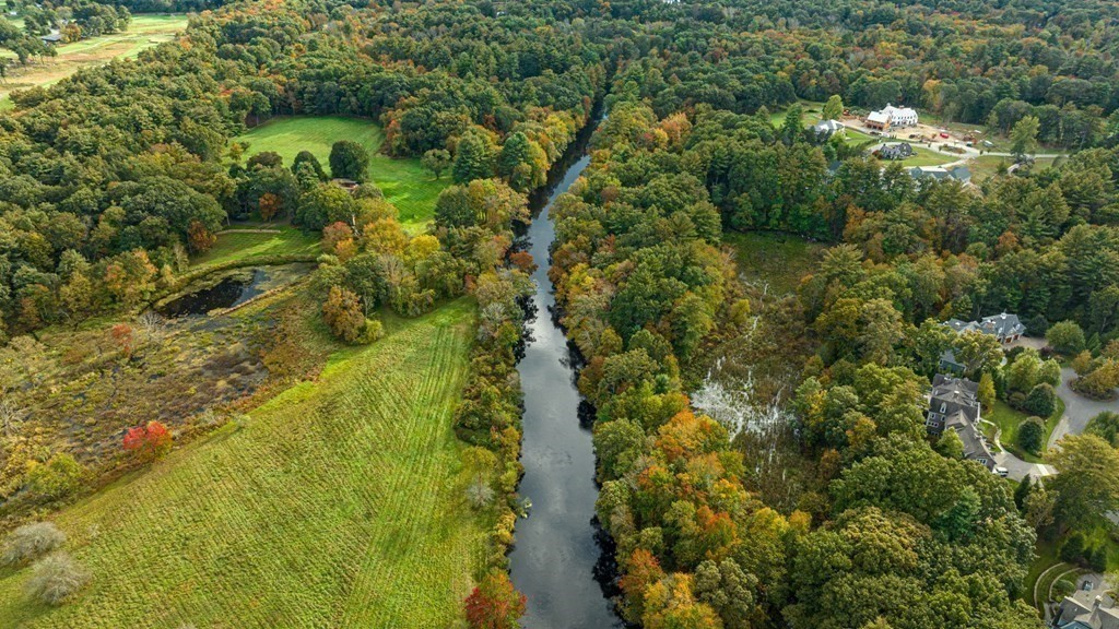 84 Wildwood Drive Needham, MA 02492 - Photo 36 of 36 a view of a forest