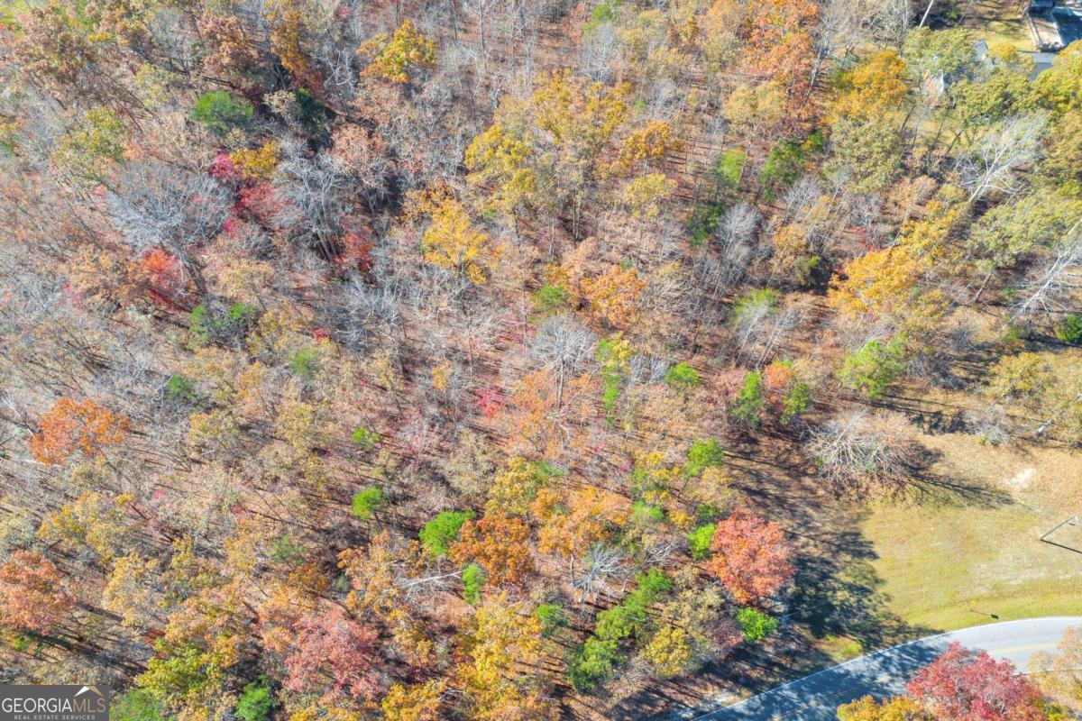 Lot 12 North Hicks Road Toccoa, GA 30577 - Photo 15 of 25