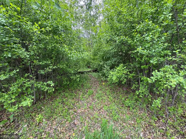 $30,000 | Tbd Walnut Street South, Mora, MN 55051