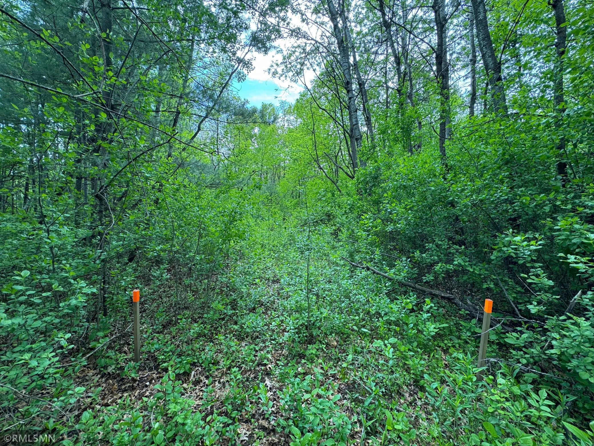 Tbd Walnut Street South Mora, MN 55051 - Photo 2 of 5