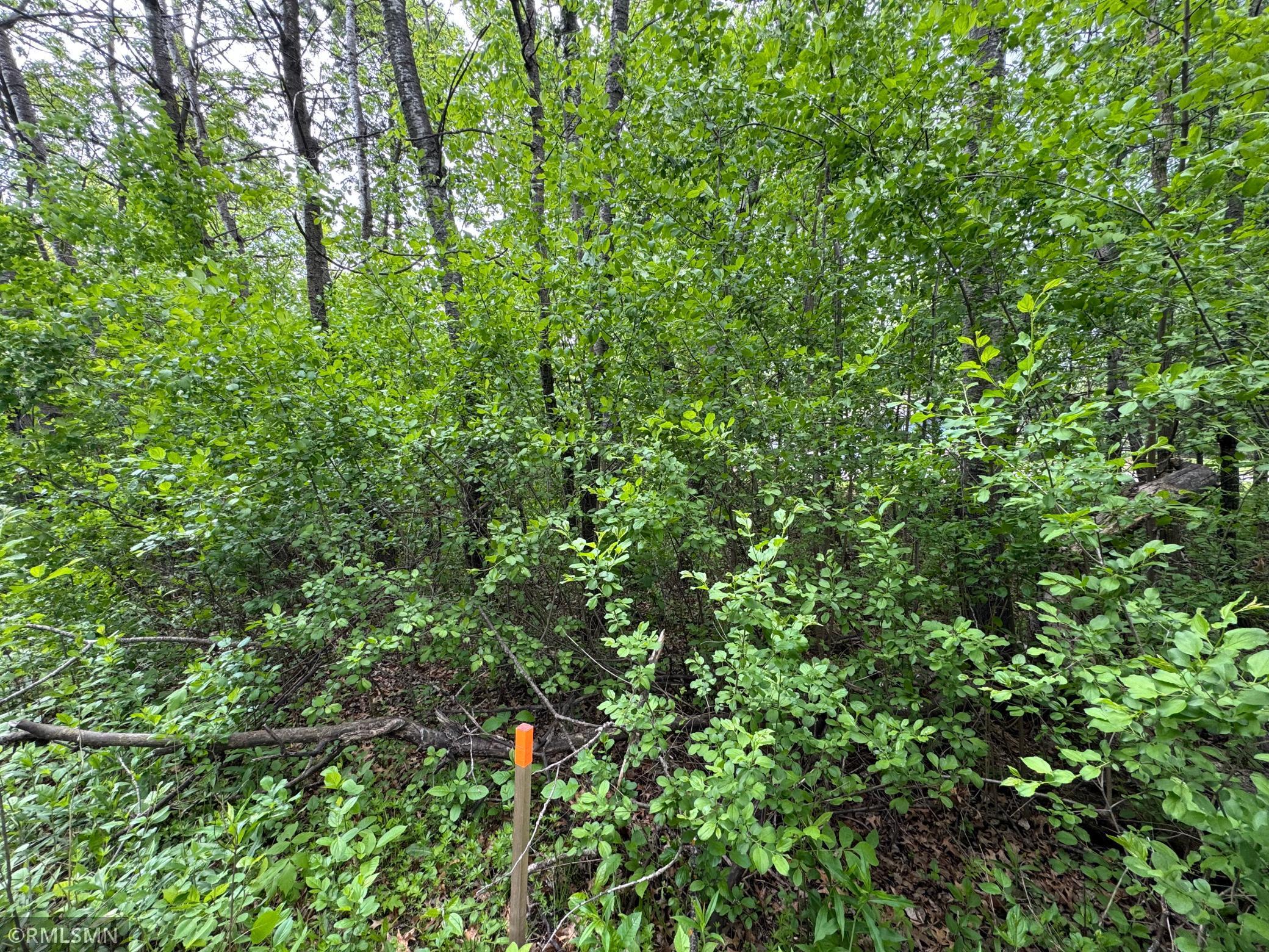 Tbd Walnut Street South Mora, MN 55051 - Photo 3 of 5