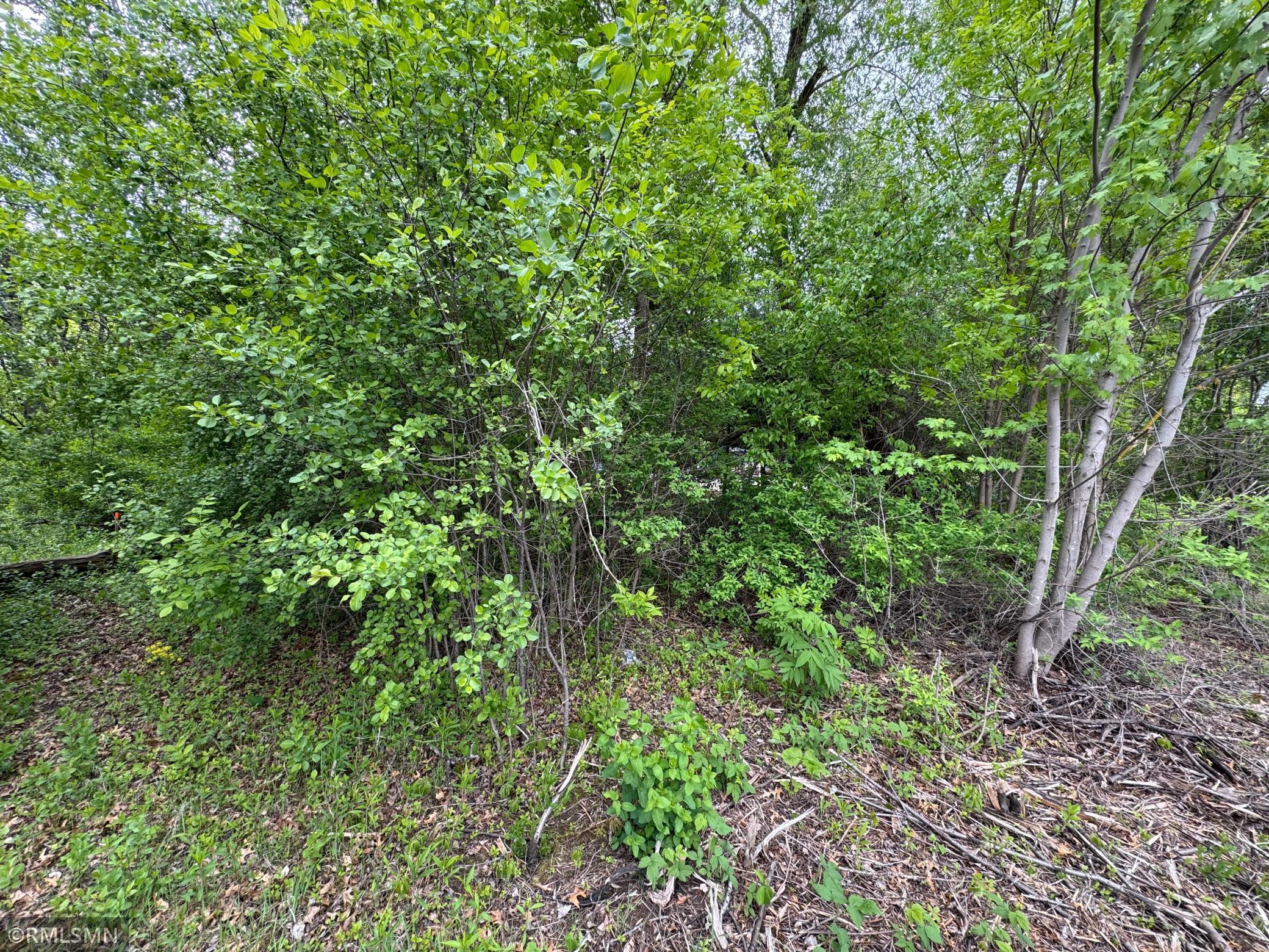 Tbd Walnut Street South Mora, MN 55051 - Photo 4 of 5