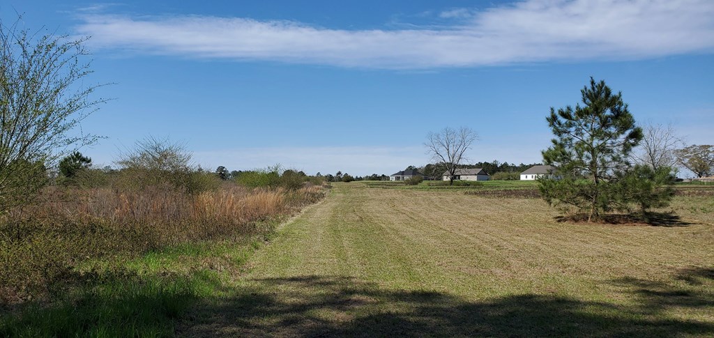0 Roy Martin Road Dothan, AL 36301 - Photo 4 of 7
