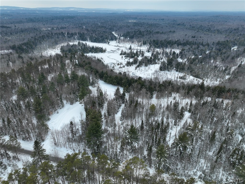 Lot#3 Roberts Road Remsen, NY 13438 - Photo 23 of 28