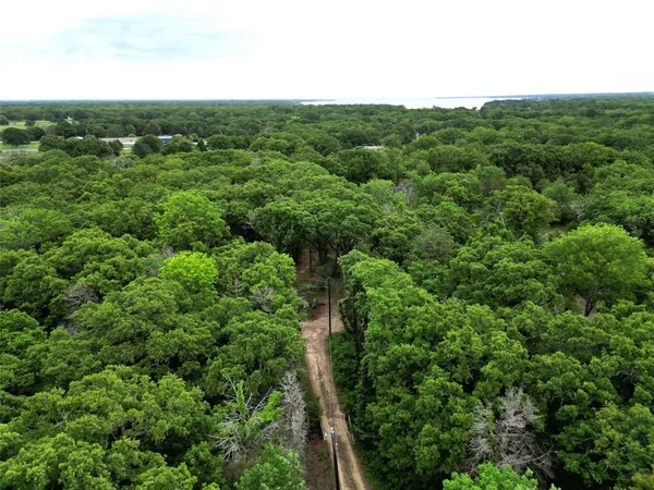 a view of a green field with lots of bushes