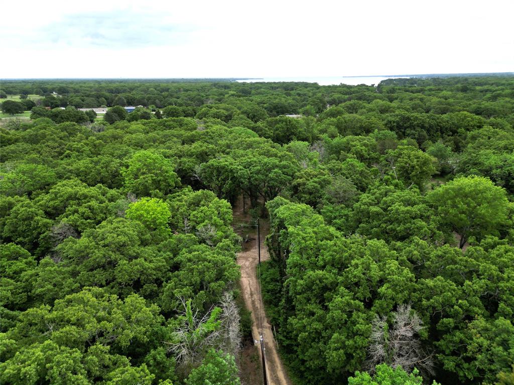 26-ac Rasco Road Quinlan, TX 75474 - Photo 1 of 10 a view of a green field with lots of bushes