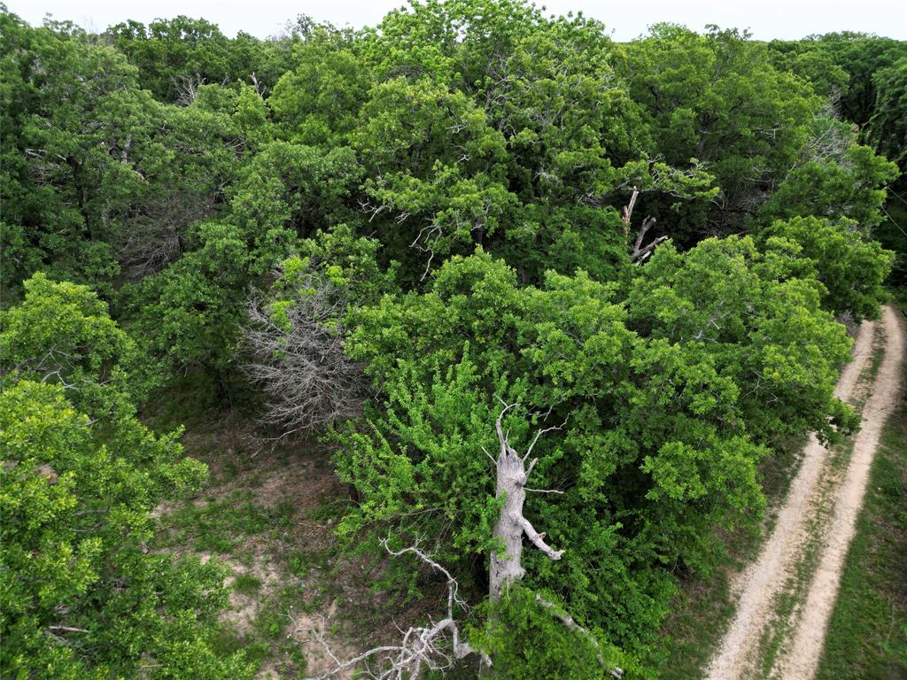 26-ac Rasco Road Quinlan, TX 75474 - Photo 2 of 10 an aerial view of a house with a lush green forest