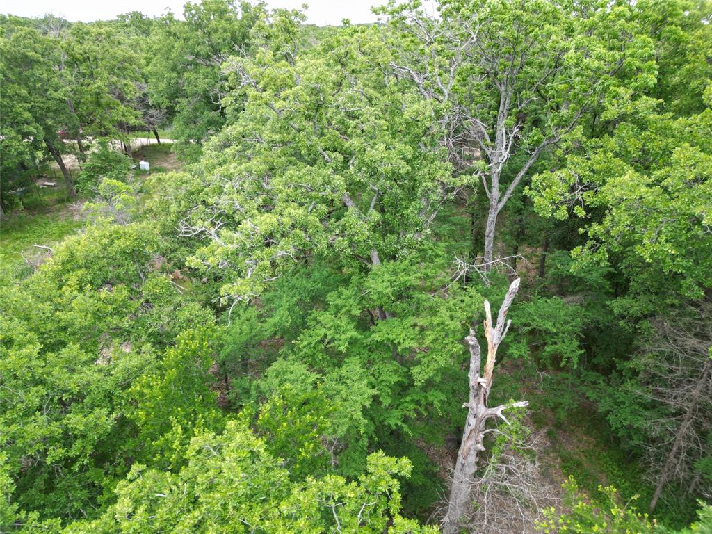 26-ac Rasco Road Quinlan, TX 75474 - Photo 4 of 10 a view of a lush green forest with large trees