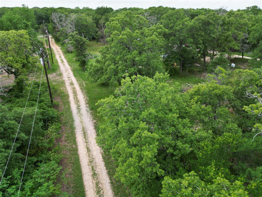 26-ac Rasco Road Quinlan, TX 75474 - Photo 5 of 10 a view of a lush green forest with lots of trees