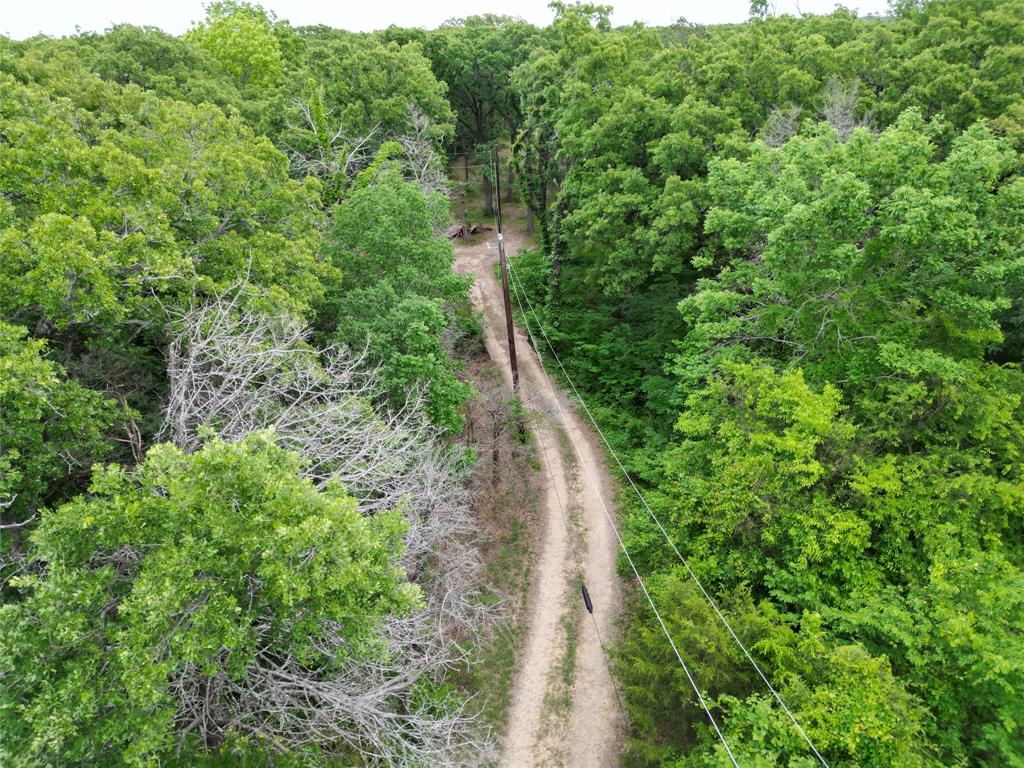 26-ac Rasco Road Quinlan, TX 75474 - Photo 6 of 10 a view of a lush green forest with lots of trees