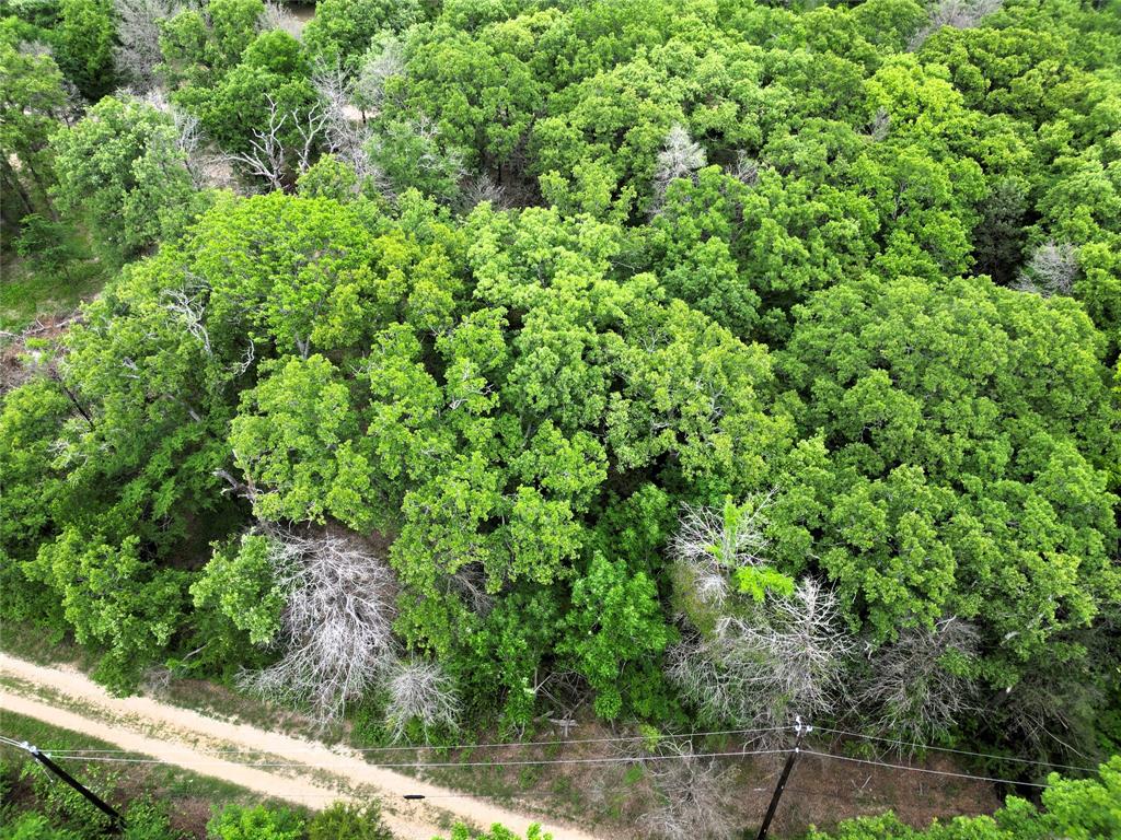 26-ac Rasco Road Quinlan, TX 75474 - Photo 9 of 10 an aerial view of a house with a yard