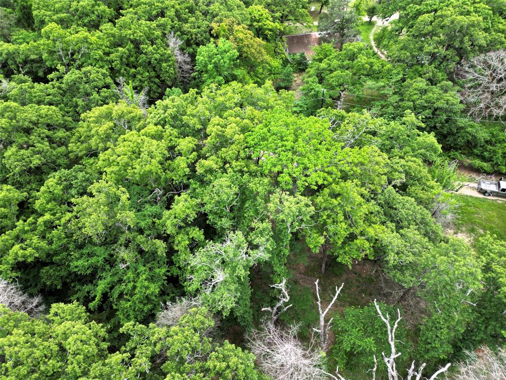 26-ac Rasco Road Quinlan, TX 75474 - Photo 10 of 10 a view of a lush green forest
