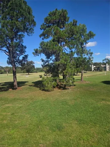 a view of a trees in a yard