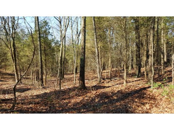 0 Stoops Road Dillsboro, IN 47018 - Photo 1 of 3 Gallery Image 1