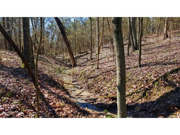 0 Stoops Road Dillsboro, IN 47018 - Photo 2 of 3 Gallery Image 2