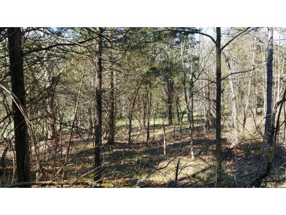 0 Stoops Road Dillsboro, IN 47018 - Photo 3 of 3 Gallery Image 3