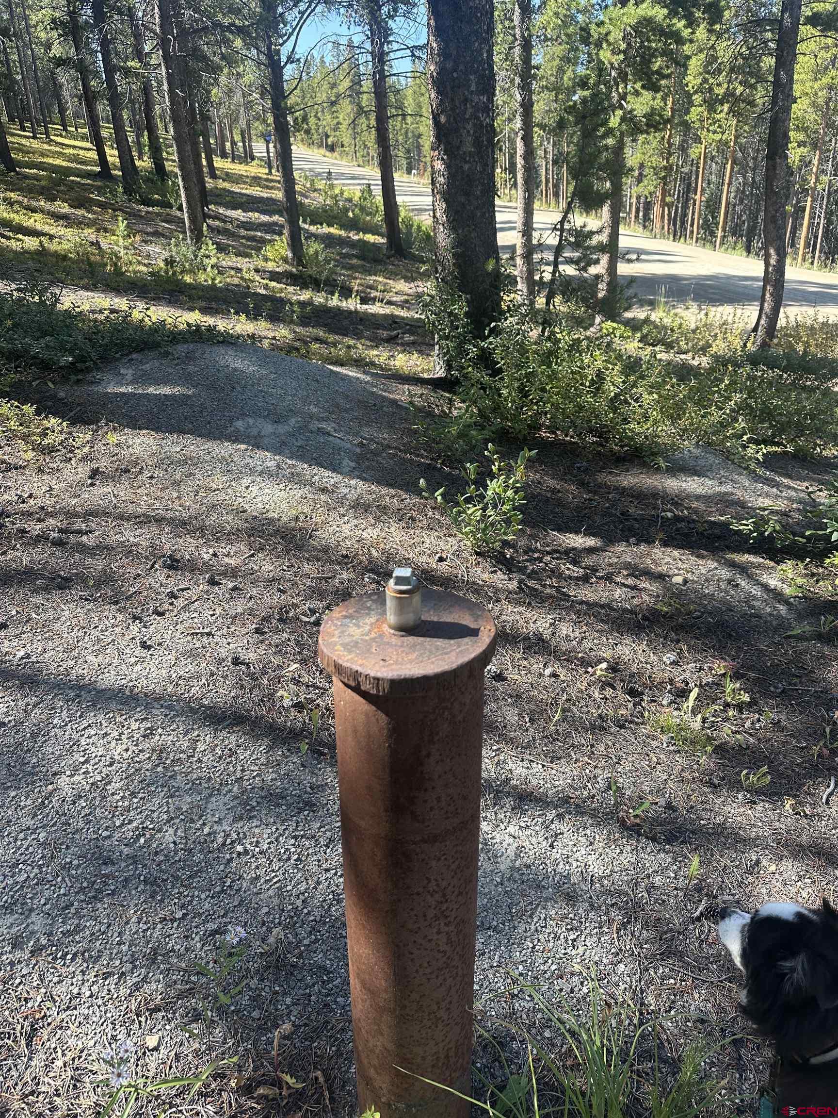 3305 Wildcat Trail Crested Butte, CO 81224 - Photo 14 of 22 a view of a back yard of the house