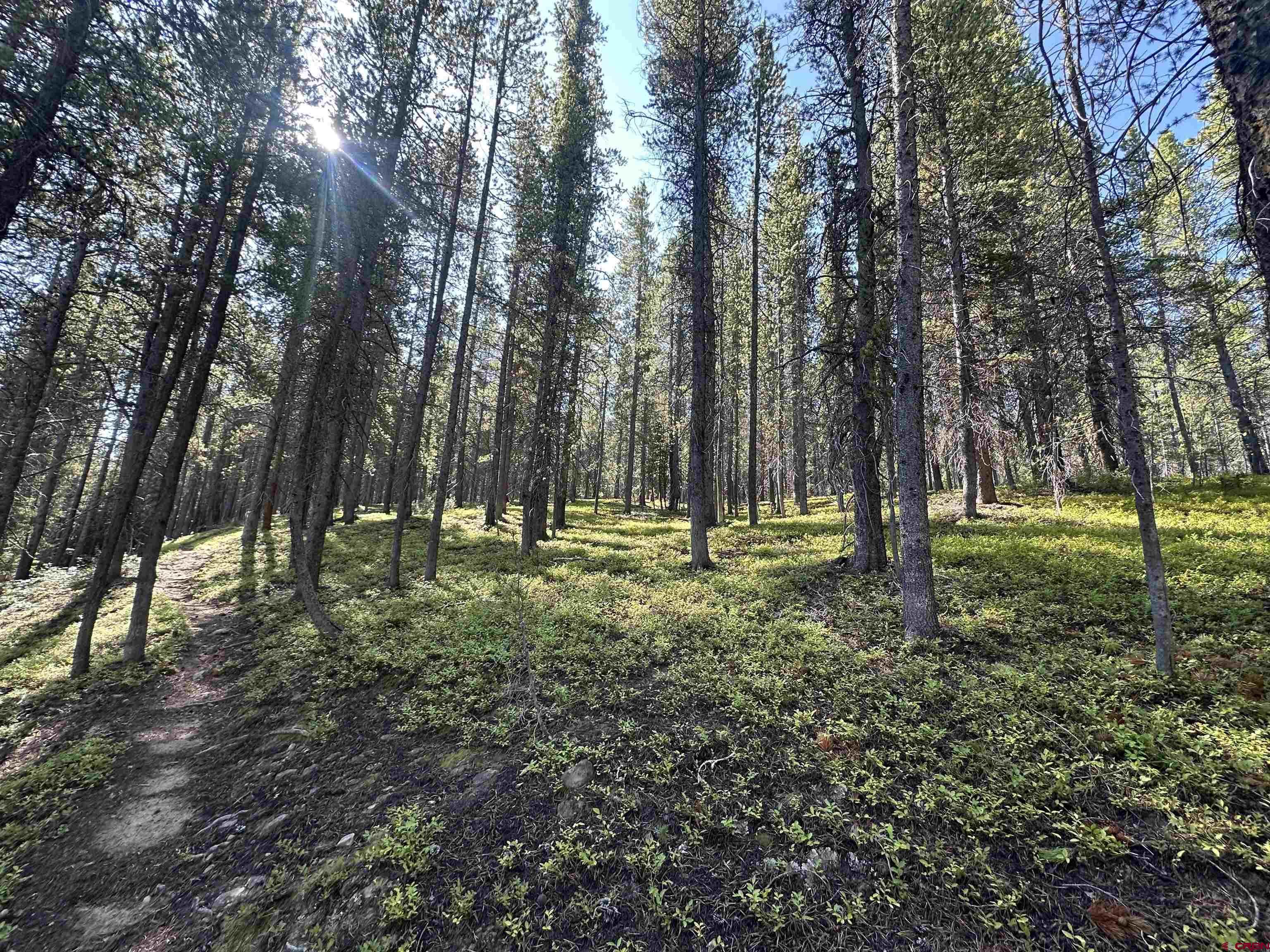 3305 Wildcat Trail Crested Butte, CO 81224 - Photo 15 of 22