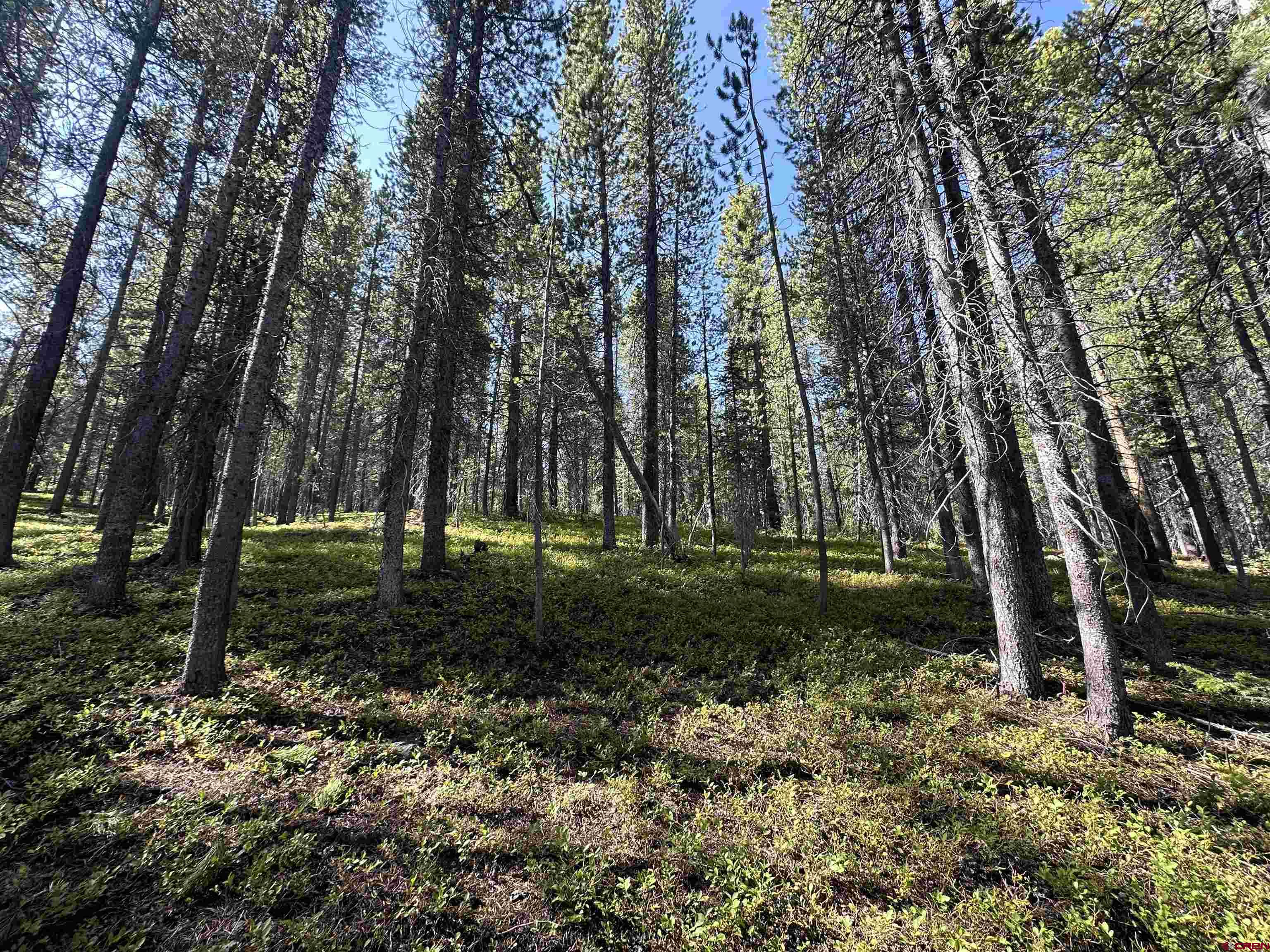 3305 Wildcat Trail Crested Butte, CO 81224 - Photo 17 of 22 a backyard of a house with lots of green space