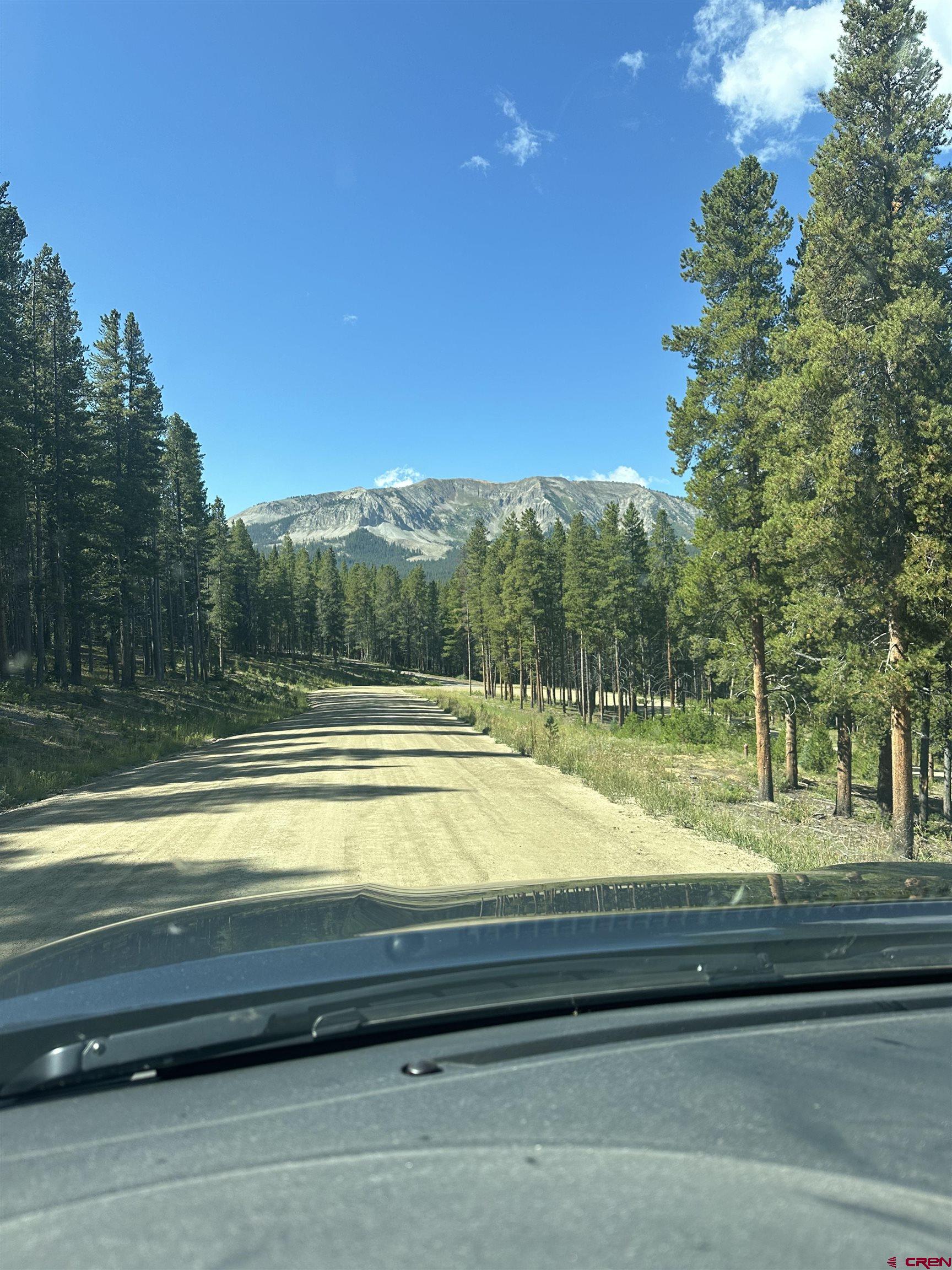 3305 Wildcat Trail Crested Butte, CO 81224 - Photo 18 of 22 a view of yard and tree