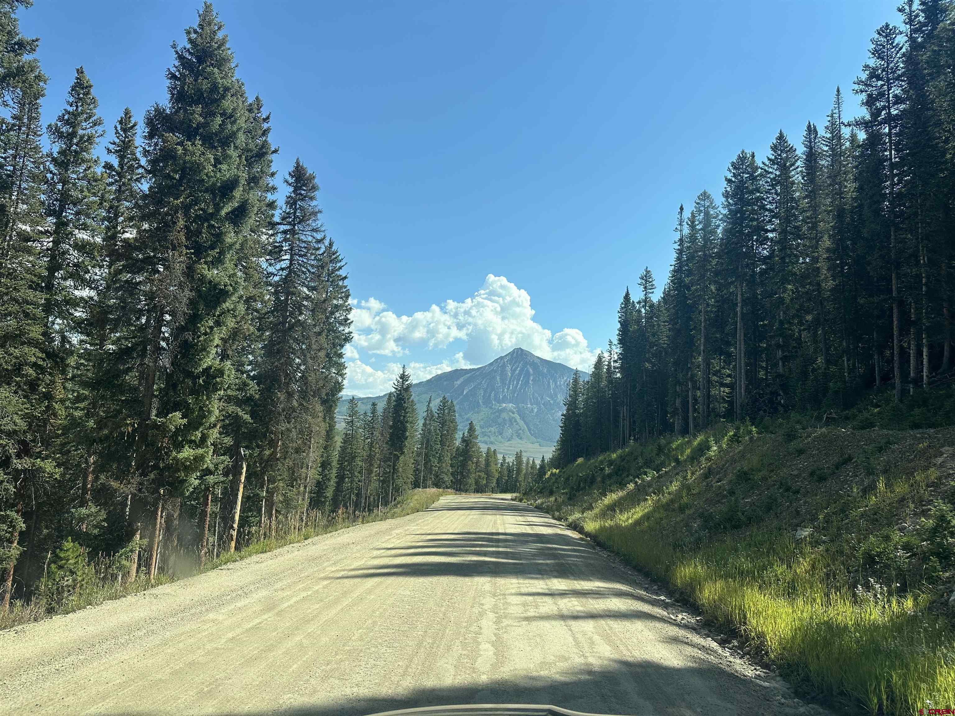 3305 Wildcat Trail Crested Butte, CO 81224 - Photo 19 of 22 a view of swimming pool