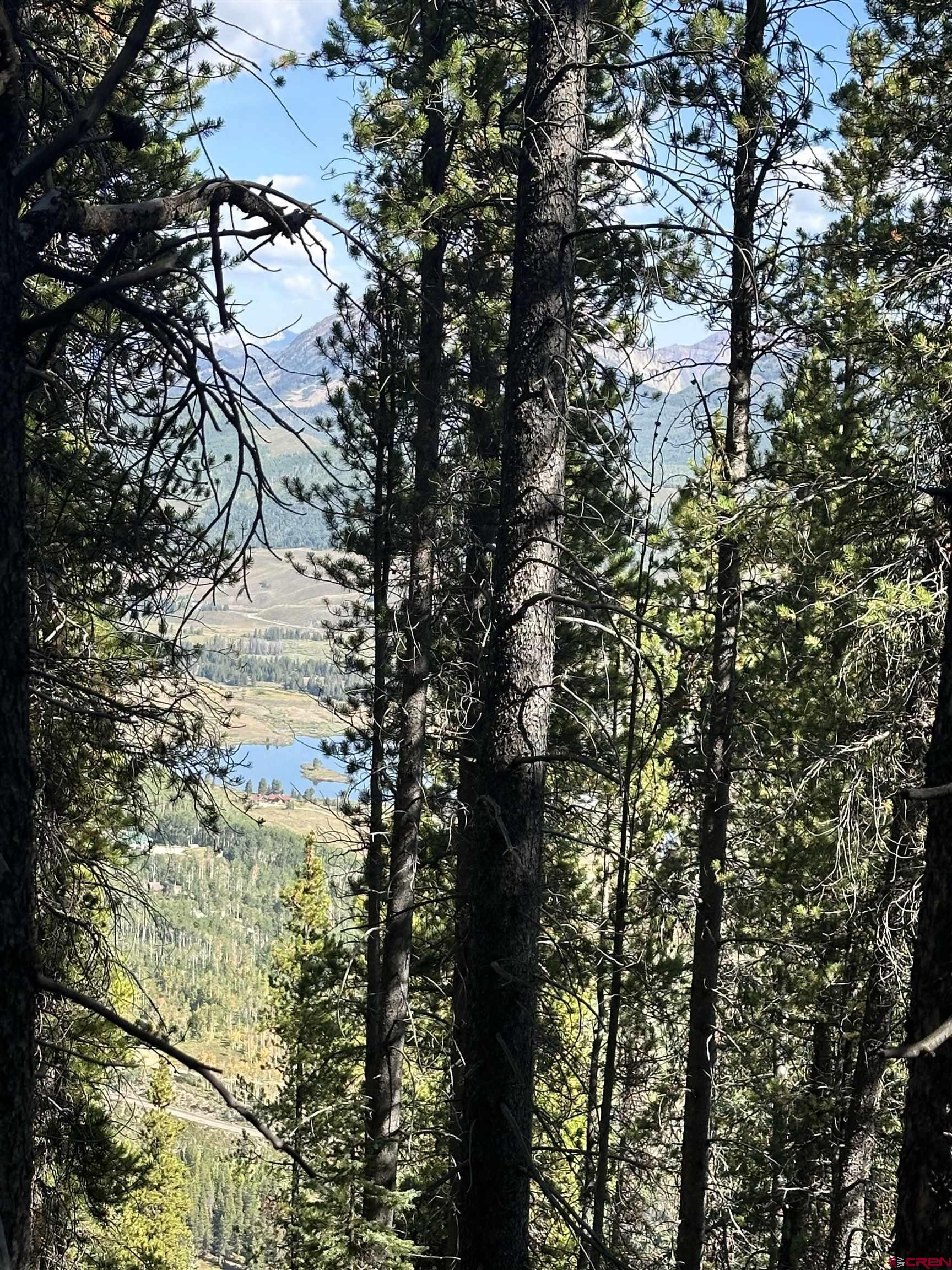 3305 Wildcat Trail Crested Butte, CO 81224 - Photo 2 of 22
