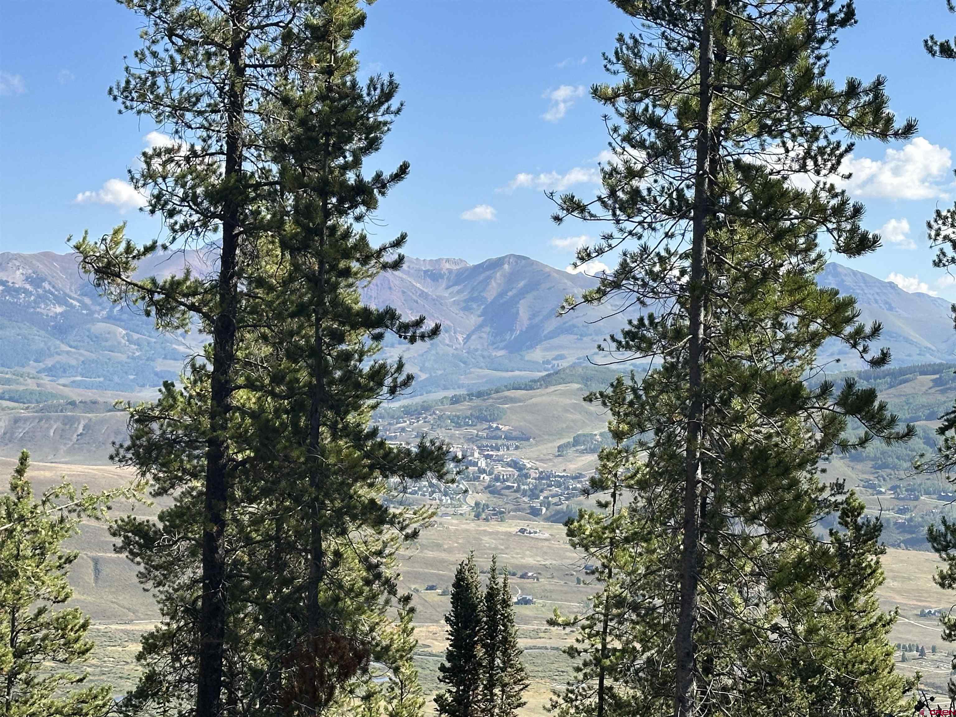 3305 Wildcat Trail Crested Butte, CO 81224 - Photo 3 of 22